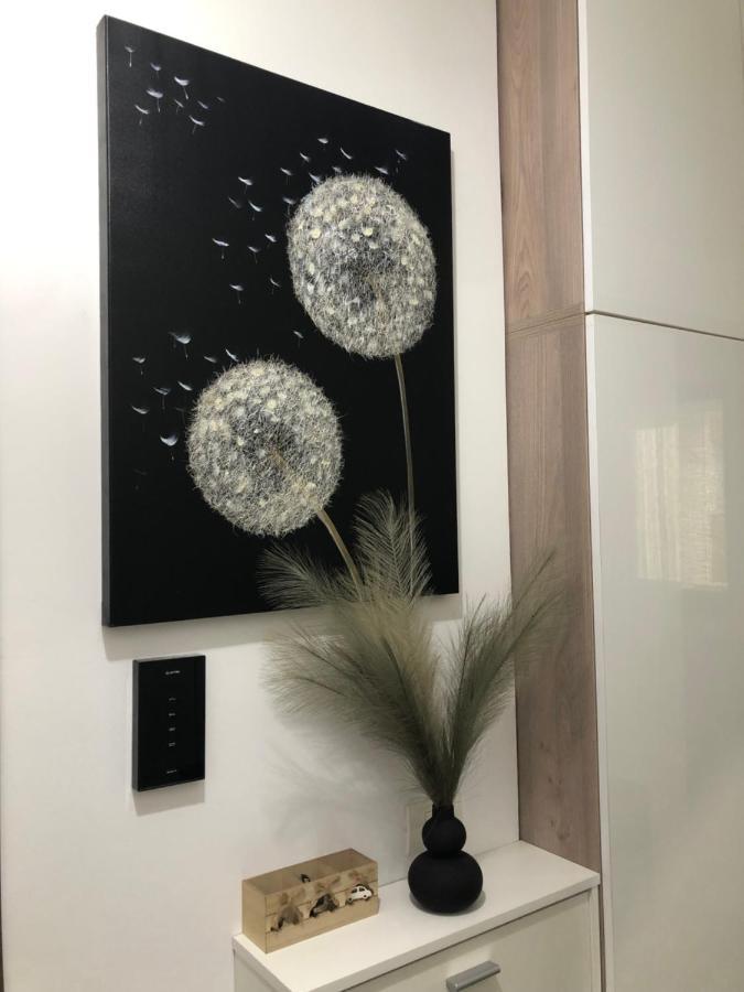 Miio Studio Năvodari المظهر الخارجي الصورة